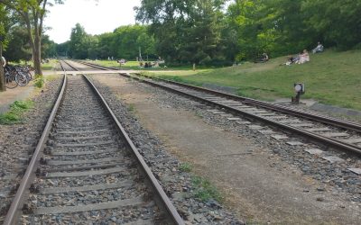 Cuento de bienvenida al 2026: las dos sandalias